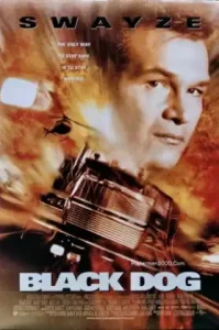 Black Dog (1998) ไอ้หมาบ้าผ่าไฮเวย์นรก