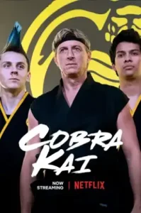 Cobra Kai Season 1 (2018) คอบร้า ไค ซีซั่น 1