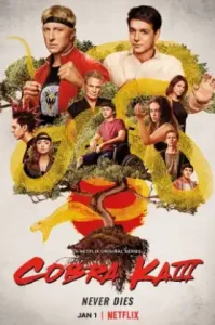 Cobra Kai Season 3 (2021) คอบร้า ไค ซีซั่น 3