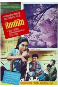 ดูหนังออนไลน์ Dark Heaven (1958) สวรรค์มืด