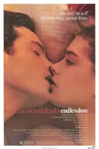 ดูหนัง Endless Love เต็มเรื่องฟรี