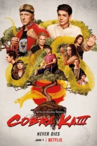 Cobra Kai Season 3 (2021) คอบร้า ไค ซีซั่น 3