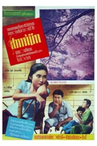Dark Heaven (1958) สวรรค์มืด