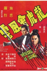 Heroes of Sung (1973) เจ้าพยัคฆ์พลังคู่