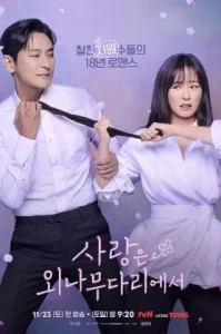 Love Your Enemy (2024) รักนี้…ศัตรูของฉัน