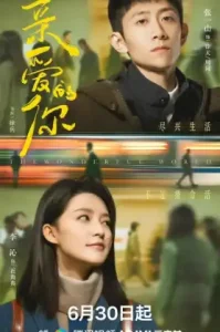 The Wonderful World (2025) แด่เธอที่รัก