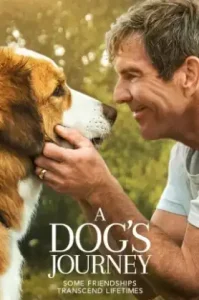 A Dog’s Journey (2019) หมา เป้าหมาย และเด็กชายของผม 2