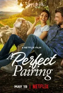 A Perfect Pairing (2022) คู่นี้… คือเพอร์เฟค