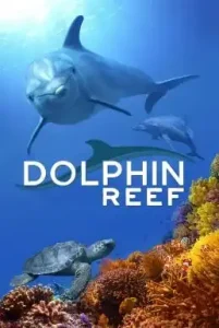 Dolphin Reef (2020) อัศจรรย์ชีวิตของโลมา
